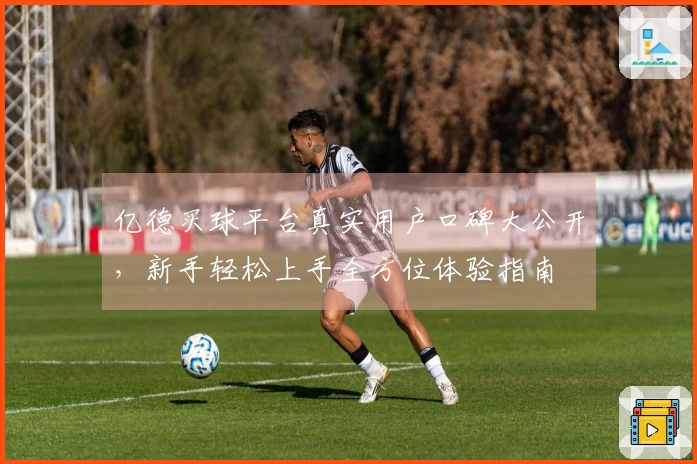 亿德买球平台真实用户口碑大公开，新手轻松上手全方位体验指南