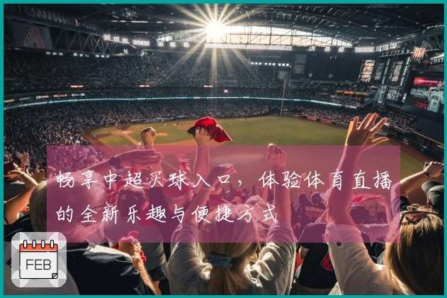 畅享中超买球入口,体验体育直播的全新乐趣与便捷方式