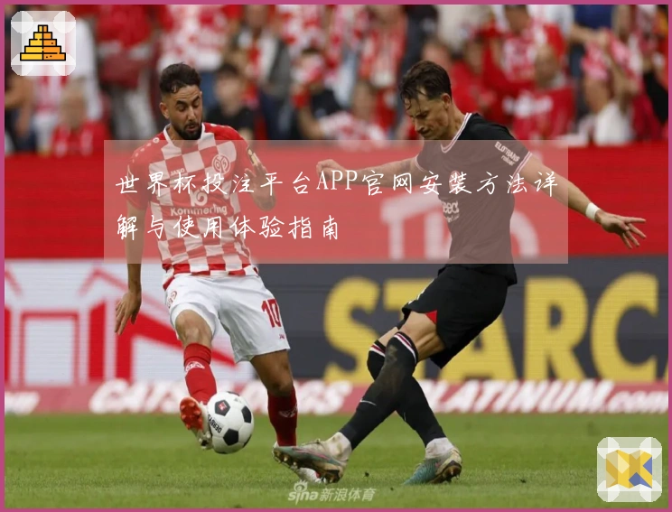 世界杯投注平台APP官网安装方法详解与使用体验指南