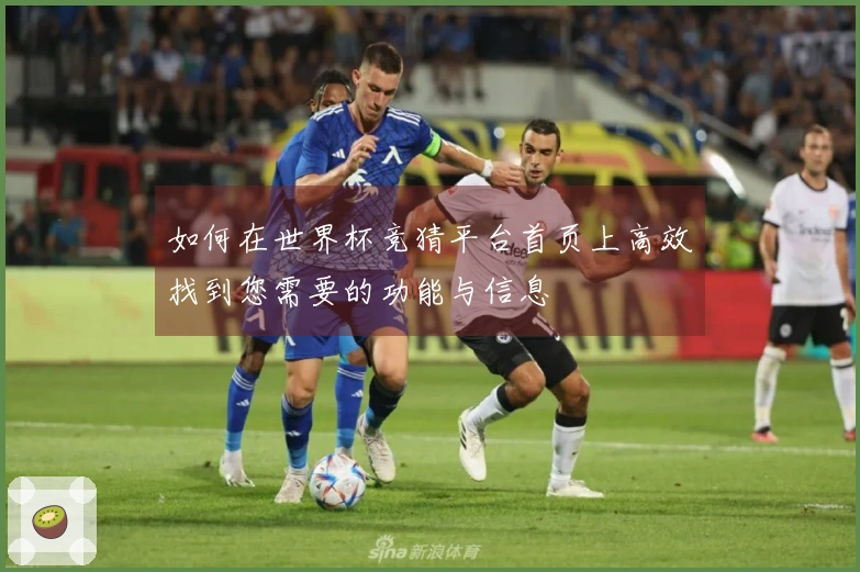 如何在世界杯竞猜平台首页上高效找到您需要的功能与信息