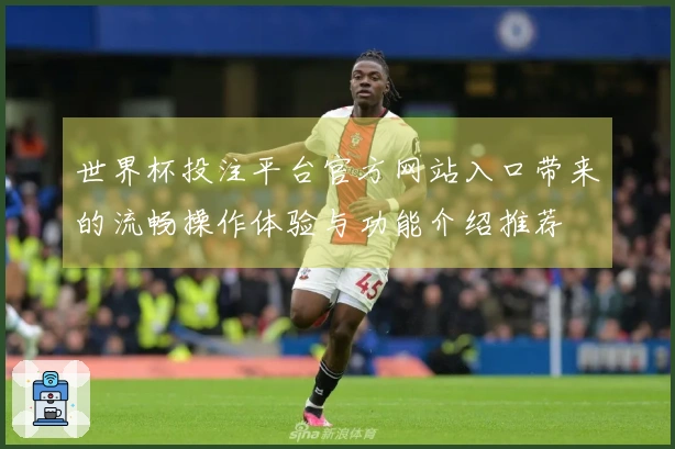 世界杯投注平台官方网站入口带来的流畅操作体验与功能介绍推荐
