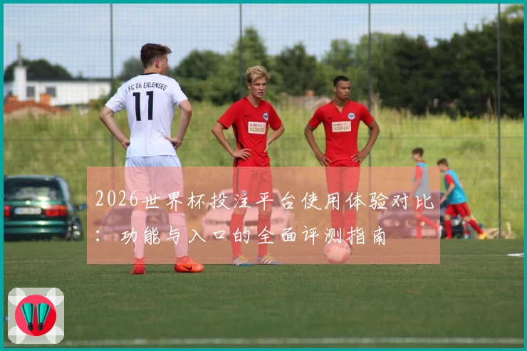 2026世界杯投注平台使用体验对比：功能与入口的全面评测指南