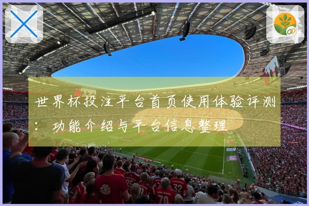 世界杯投注平台首页使用体验评测：功能介绍与平台信息整理