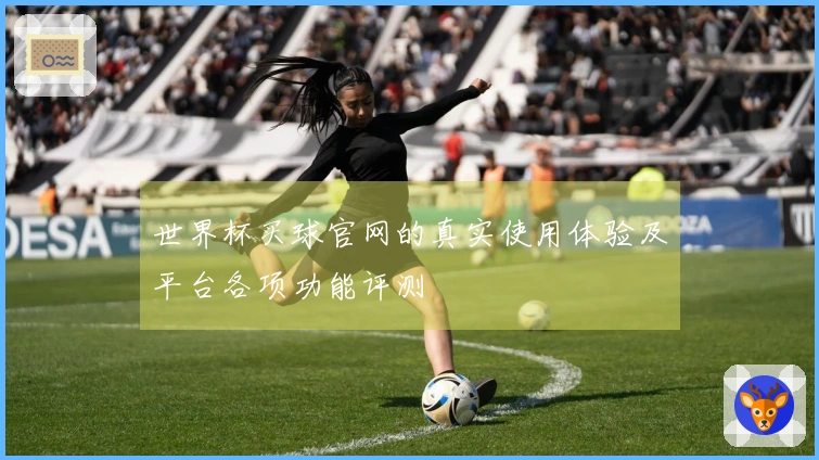 世界杯买球官网的真实使用体验及平台各项功能评测