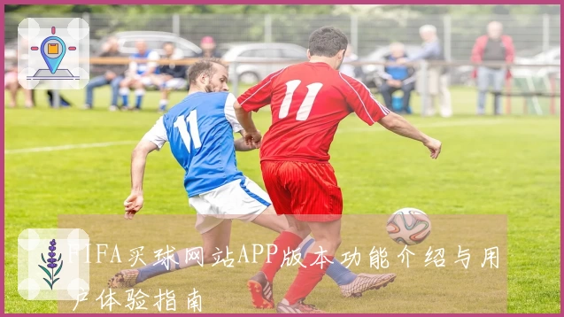 FIFA买球网站APP版本功能介绍与用户体验指南