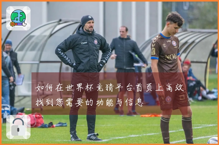 如何在世界杯竞猜平台首页上高效找到您需要的功能与信息