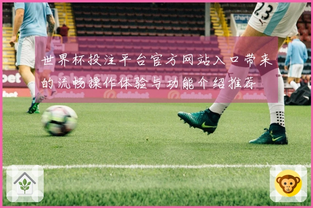 世界杯投注平台官方网站入口带来的流畅操作体验与功能介绍推荐