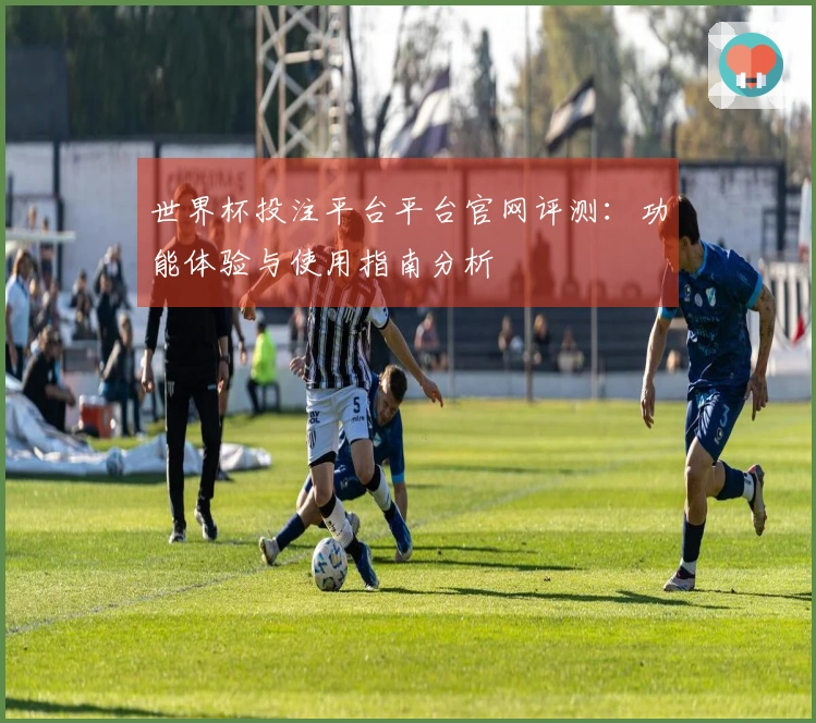 世界杯投注平台平台官网评测：功能体验与使用指南分析