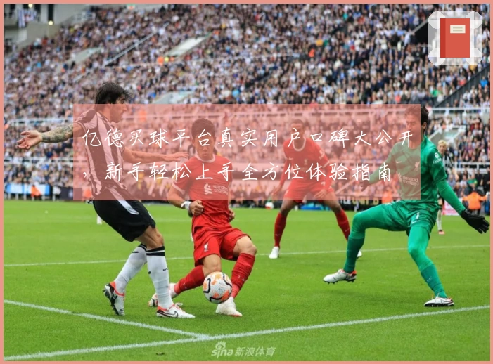 亿德买球平台真实用户口碑大公开，新手轻松上手全方位体验指南