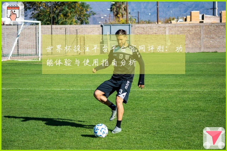世界杯投注平台平台官网评测：功能体验与使用指南分析