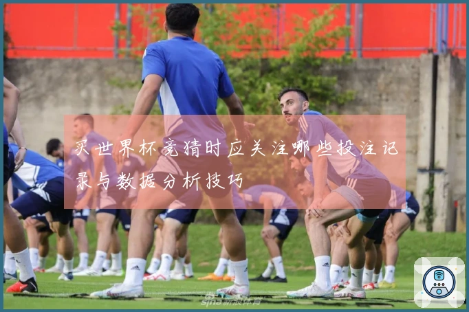 买世界杯竞猜时应关注哪些投注记录与数据分析技巧